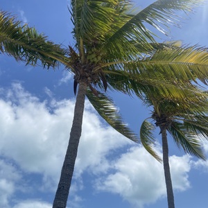 Fundraising Page: Debi Wilborn